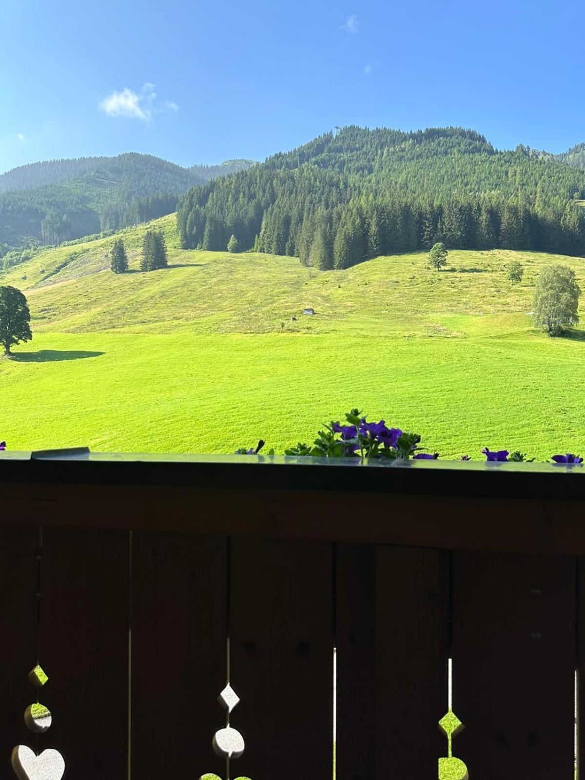 Sportpension Enzian Saalbach-Hinterglemm Kültér fotó